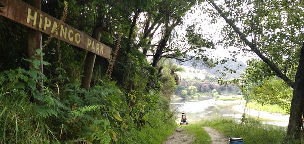 Day 399: Whanganui Journey (5)